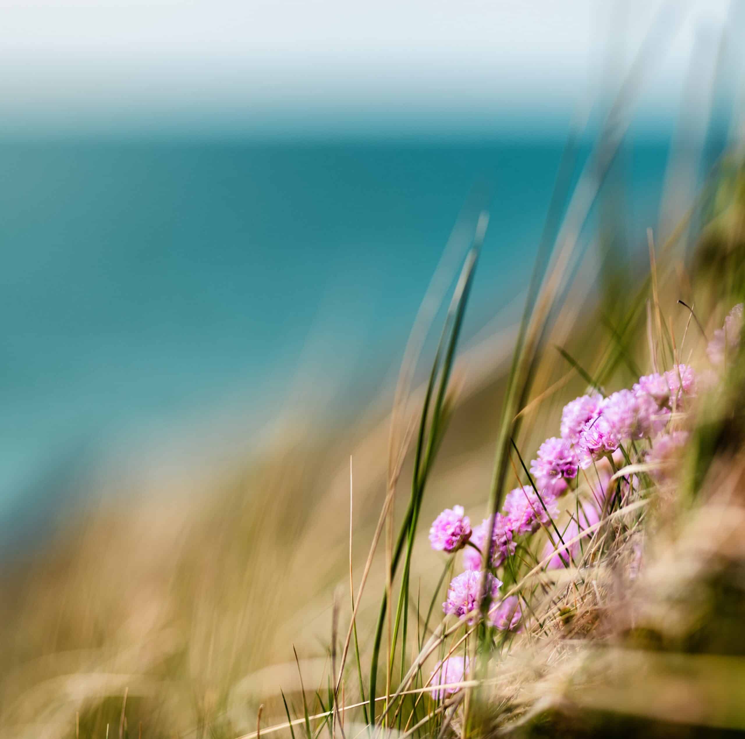 playa-en-primavera