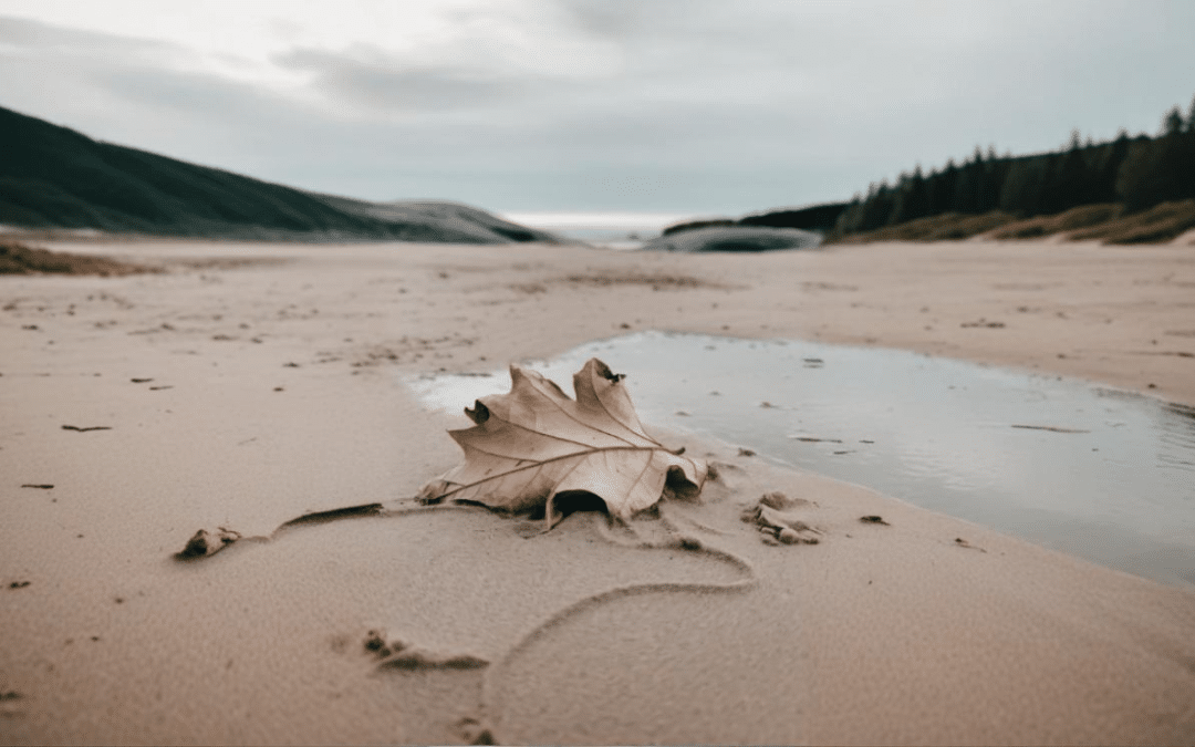 Qué hacer en Rota en Otoño: Guía para disfrutar en Rota en temporada baja