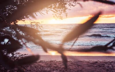 Qué hacer en Rota cuando llueve: 7 planes alternativos a la playa