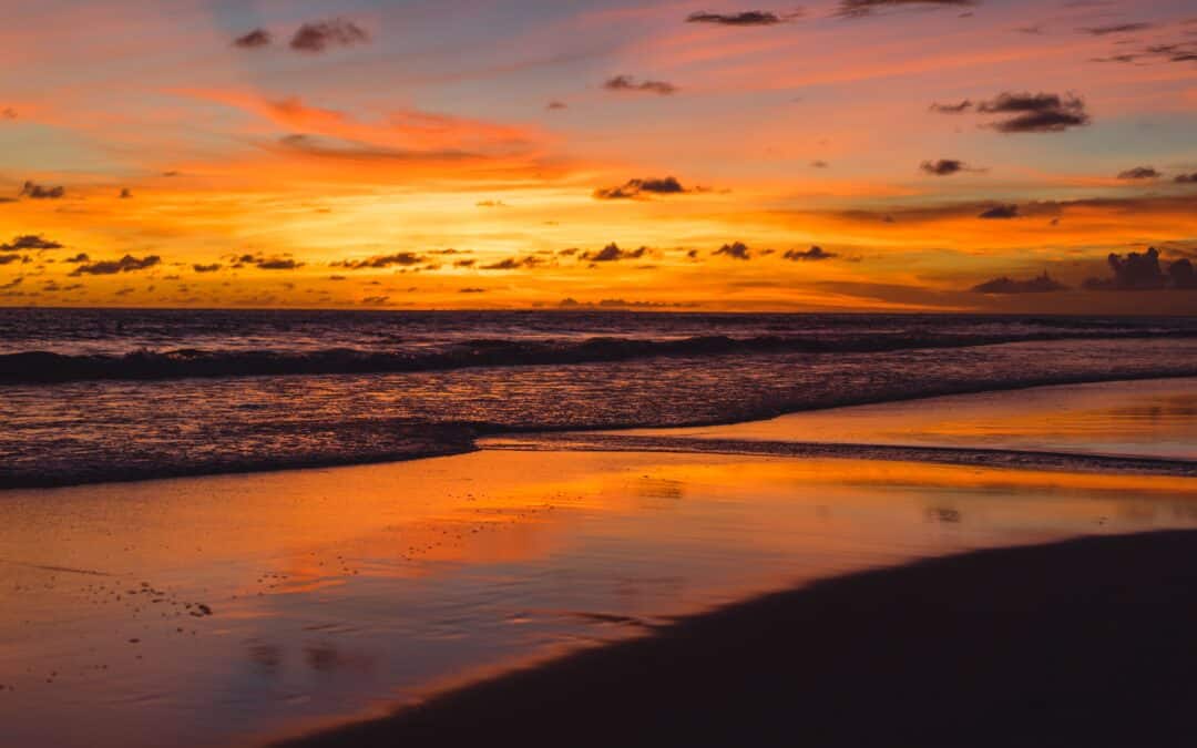 ✨ Los mejores atardeceres de otoño en Rota: Lugares imprescindibles para disfrutar del sol y el mar